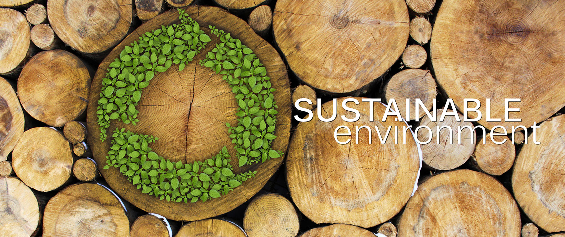 SUSTAINABLE-ENVIRONMENT
