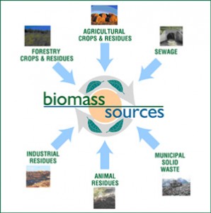 biomass_sources