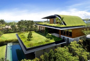 (sourced from National Geographic) From city to home, the green roof design is beneficial. 