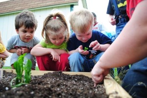 Sustainable Childrens Garden