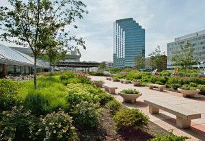 (sourced from greenroofs.com) Pictured Above is the Baltimore Convention Center green roof. 