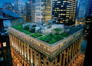 (sourced from National Geographic) From city to home, the green roof design is beneficial.